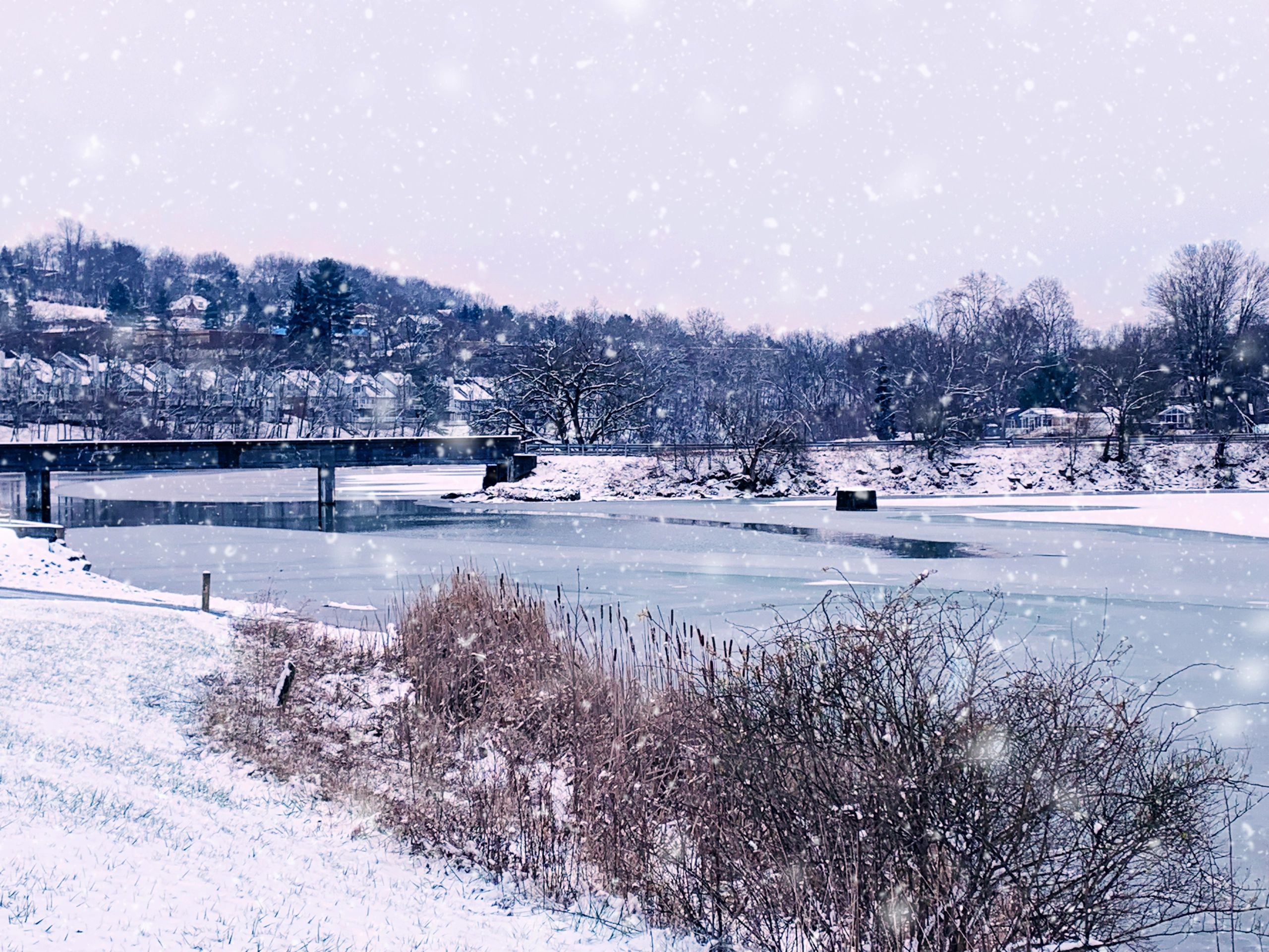 Save Canonsburg Lake