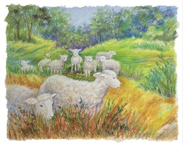 A colored pencil drawing of a fluffy white lamb with pink ears against a green grassy background.