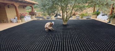 Protege las raíces de los arboles