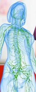 Lymphatic drainage massage