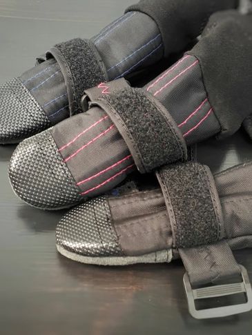 Bottes d'hiver pour chien