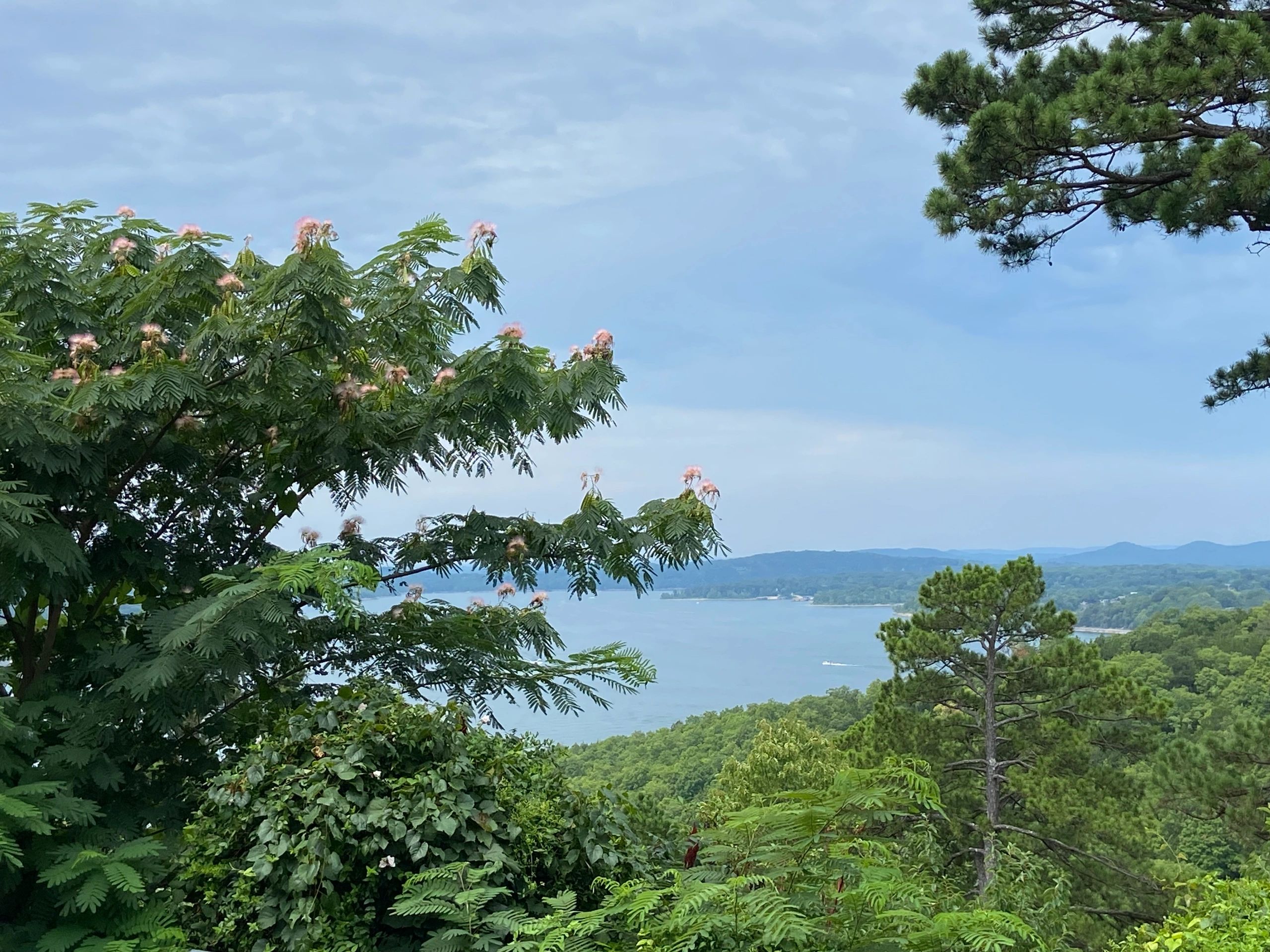 Scenic view of a lake surrounded by lush green trees under a cloudy sky.