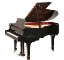 Brodmann grand piano