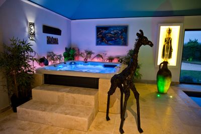hot tub and metal giraffe sculpture