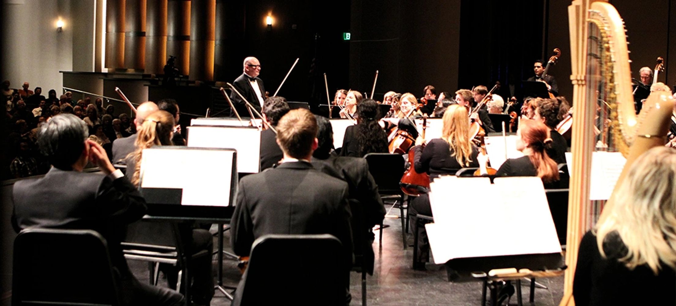 Victoria Symphony Orchestra Concertmaster Steven McMillan prepares the ensemble for a performance.