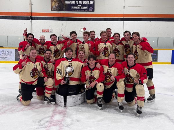Div 3 - Ice Roosters