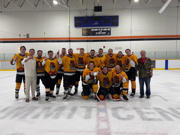 Div 4 - Dragons