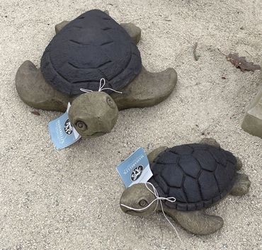 2 sea turtles

