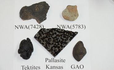 NWA Meteorites,  Pallasite Meteorite and Tektites