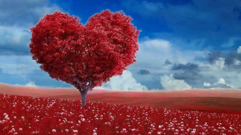 Valentines Day Cover Image, Red Heart-shaped tree in a meadow