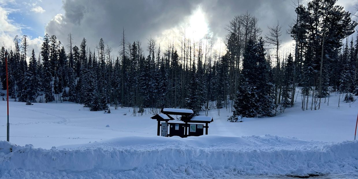 Snowy landscape with trees and cloudy sky.
