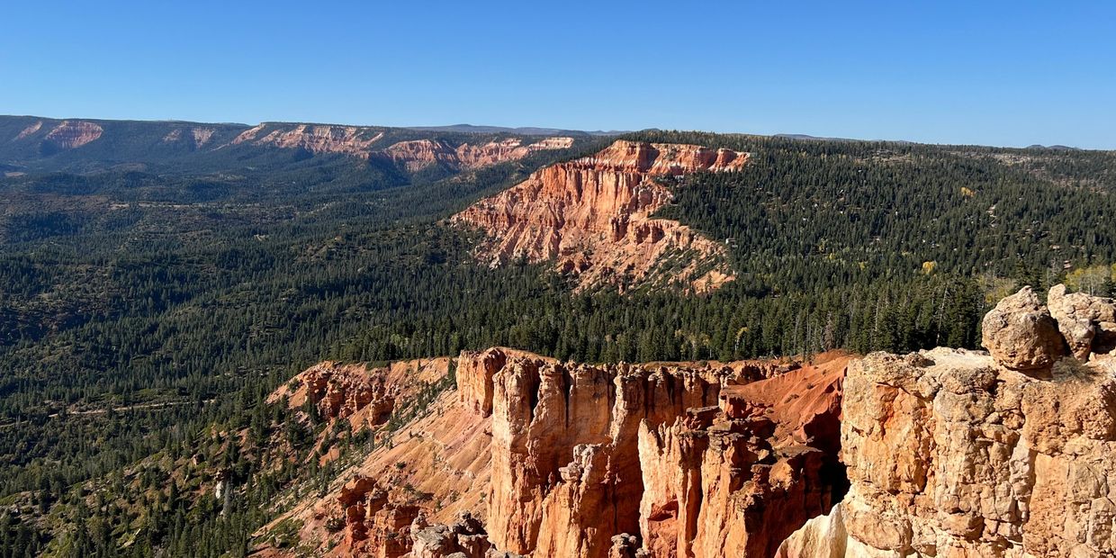 Panoramic view of a canyon with red rock formations and dense forest under a clear blue sky.
