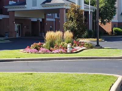 A beautiful landscape that we designed