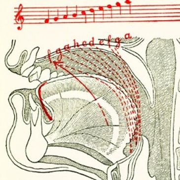 Lilli Lehmann, How To Sing