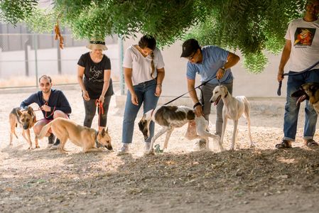 A group of volunteers with our rescued dogs in Jeddah, Saudi Arabia