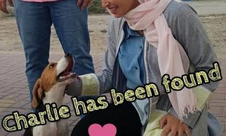 A dog that has been reunited with their owners in Jeddah, Saudi Arabia