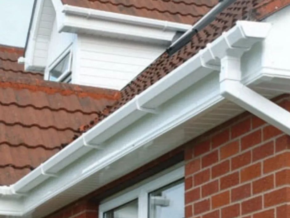 Fascia, soffit and gutter cleaning