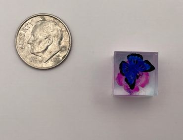 Resin diorama: hand-cast blue and black butterfly with pink flower