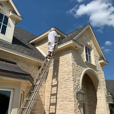 Bee Control Waco Texas