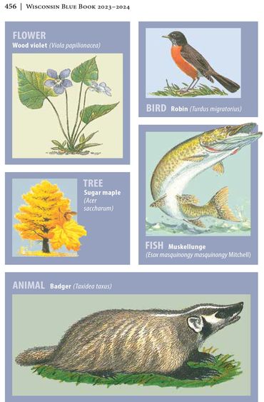 2023-2024 Chapter 4, Wisconsin Blue Book