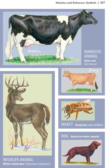 2023-2024 Chapter 4, Wisconsin Blue Book