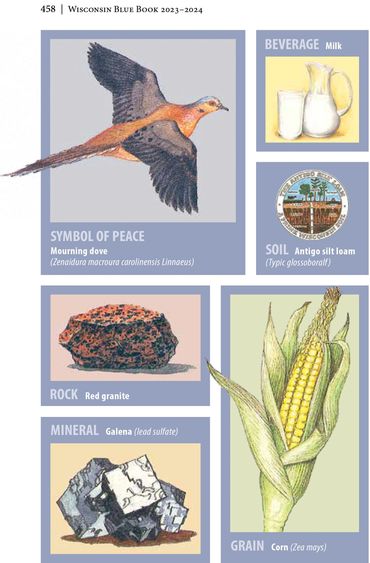 2023-2024 Chapter 4, Wisconsin Blue Book