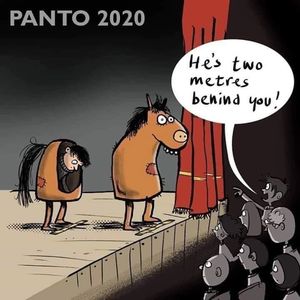 Covid pantomime 2020