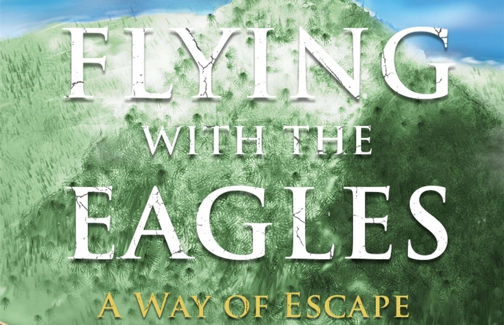 Flying with the eagles 1 book cover