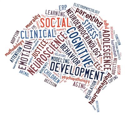 image of a brain in word cloud neuroscience research development parenting