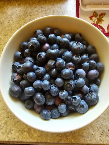 A bowl filled with fresh blueberries on a kitchen countertop.