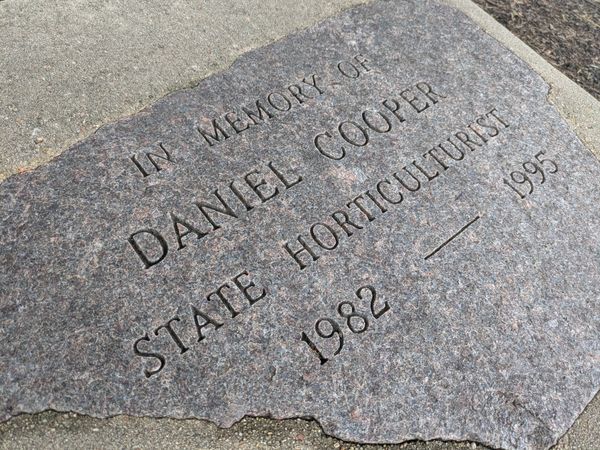 Memorial marker at the base of the Daniel Cooper tree on the Iowa State Capitol grounds.