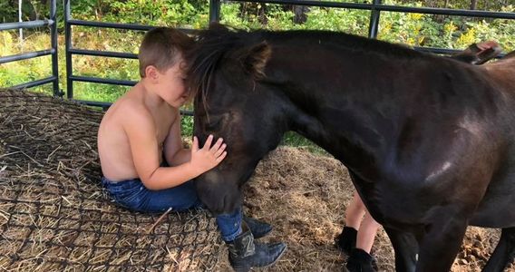 Native ponies are sweet and kind