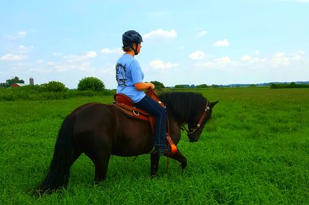 Dales pony hacking out