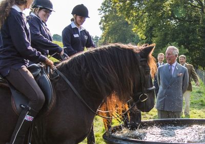 HRH the Prince of Wales Patron of the Dales Pony Society UK 