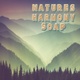 Nature's Harmony Soap