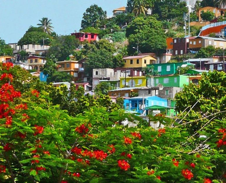 Photo credit: "Yauco Hillside - Puerto Rico" by Bill Dirienzo