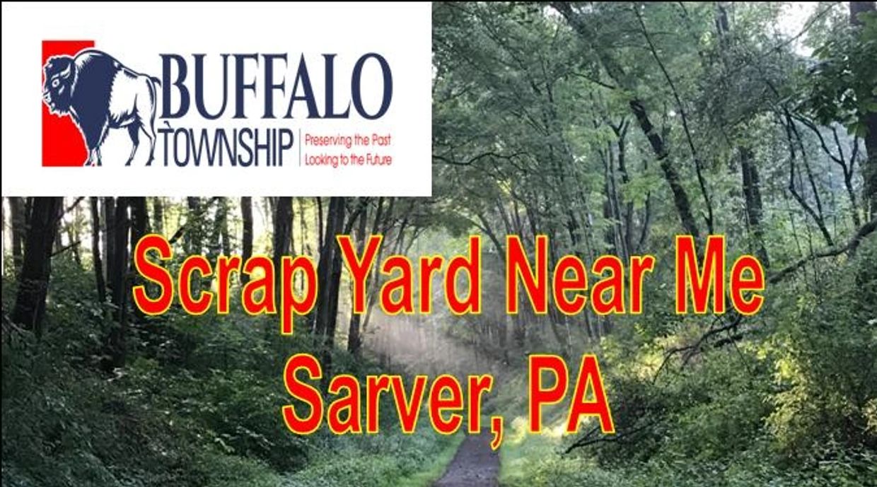 Sarver forest with a pathway through trees and Buffalo Twy logo for scrapyard near me