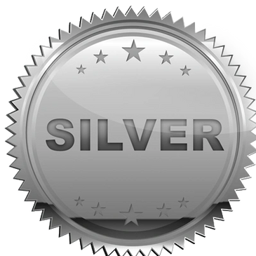 Silver level subscription