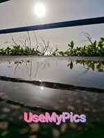 usemypics.com
