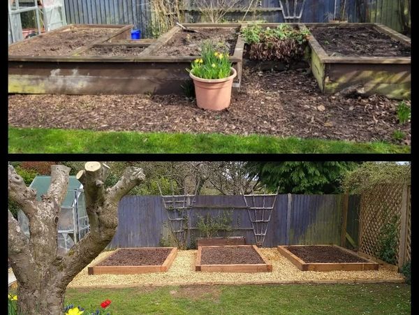 Before and after garden bed renovation with fresh soil and tidy surroundings.
