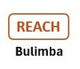 Logo of REACH Bulimba with brown and black text.