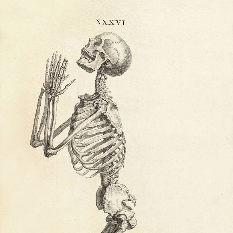 Dessin d'anatomie académique classique, cours anatomique privé réaliste Saint-Jérôme Enseignement