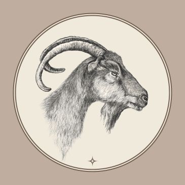 Dessin académique d’un bouc réalisé par Lysa Karell, étude animalière au trait dans la tradition cla