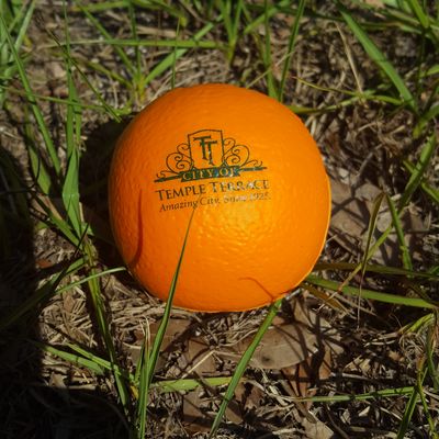 Orange with Temple Terrace logo on grass.