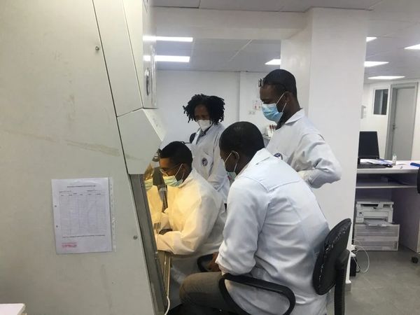 Four scientists in lab coats and masks working together in a laboratory.