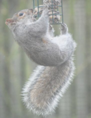 The Camera Club meets at 7.30pm on the 3rd Thurs of the month at Gainsborough Methodist Church.