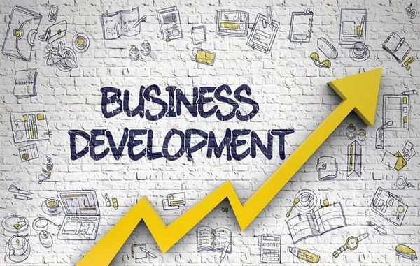 Business development strategies