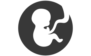 Early Childhood Development icon