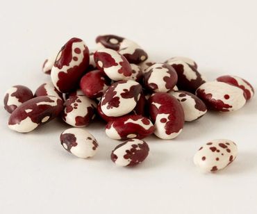 Anazazi beans