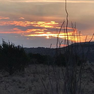 Ocotillo sunrise